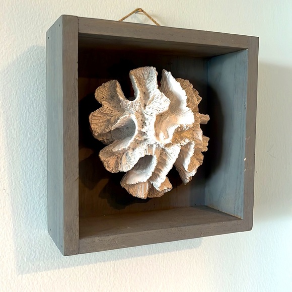 White Coral in 7.5” Square Grey Shadowbox Wall Decor - Picture 3 of 4